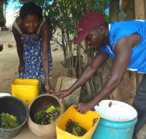 A Rocha Ghana has trained over 5,000 people in new, sustainable livelihoods, such as this woman, who is learning to farm snails as part of a programme to protect coastal mangroves.
