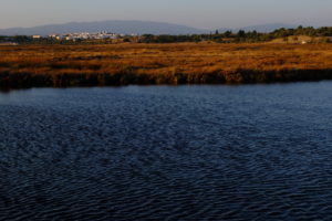 Alvor Estuary - Mel Ong