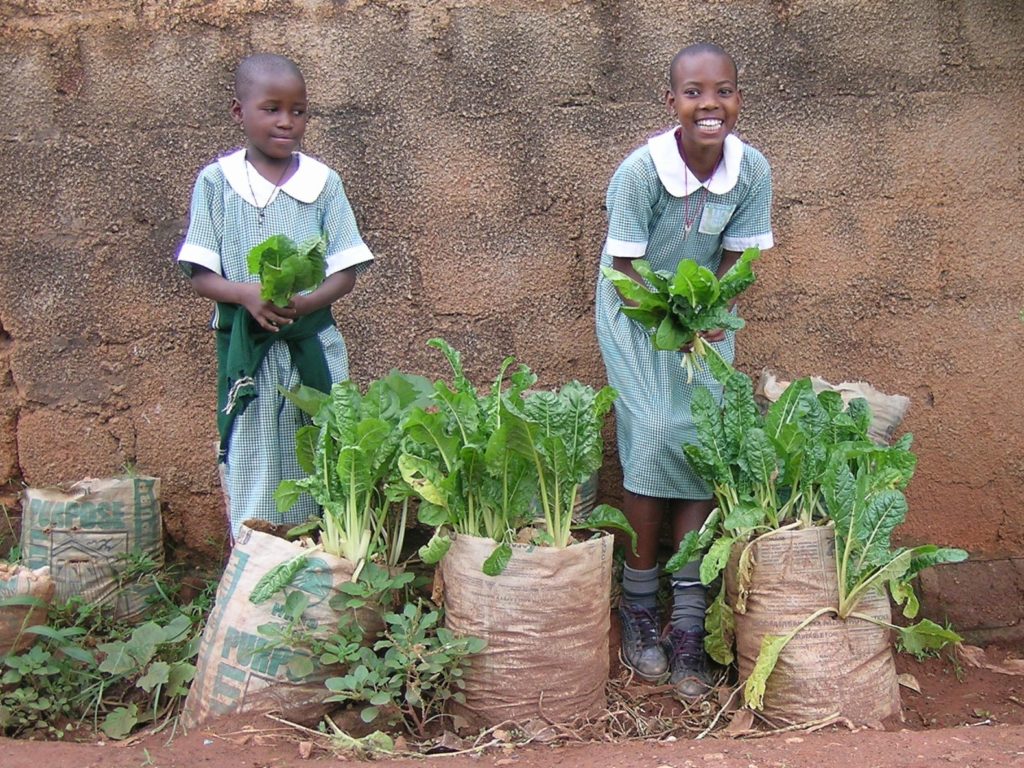 Through Eco-school activities in Uganda, A Rocha is teaching young people how to grow vegetables in sacks, thus improving their diet. (A Rocha Uganda)