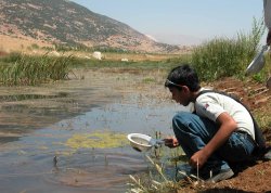 In Lebanon, school groups visit the Aammiq Wetland to learn about local wildlife in activities