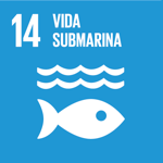 SDG 14 Spanish