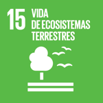 SDG 15 Spanish