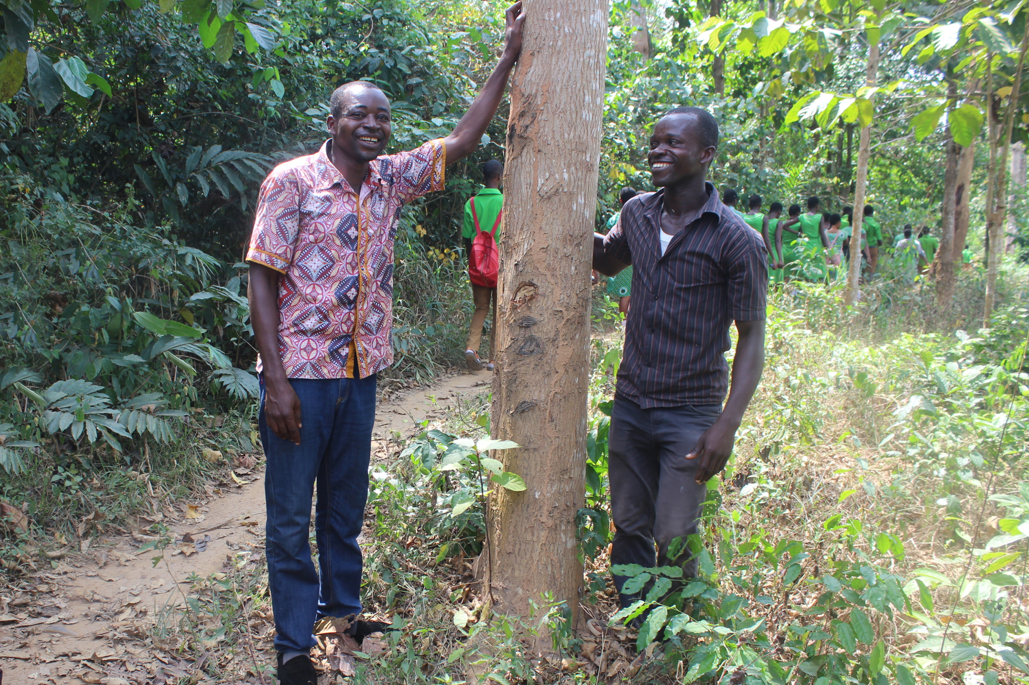 Ghana trees - Climate Stewards