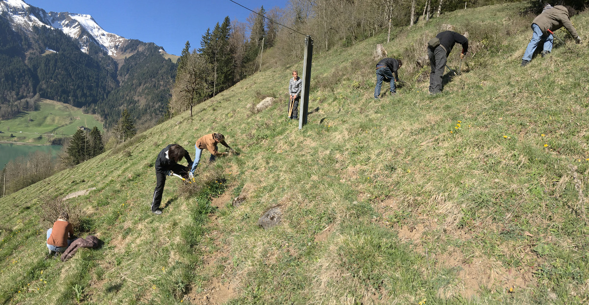 Voluntários de A Rocha Suíça limpando uma pastagem seca em Rossinière (cantão de Vaud).