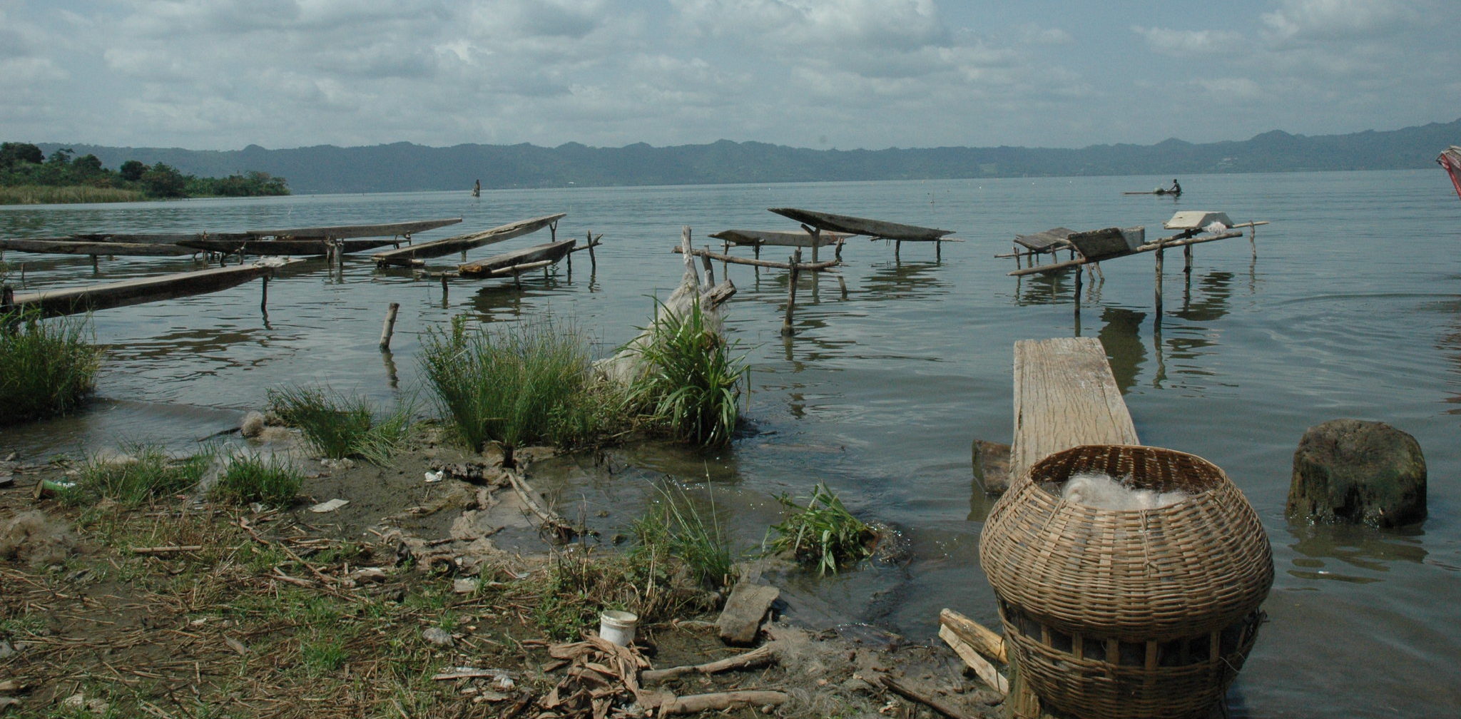 Depuis 2012, A Rocha Ghana soutient la conservation des habitats humides et forestiers du lac Bosomtwe, d’une grande diversité (Chris Naylor)
