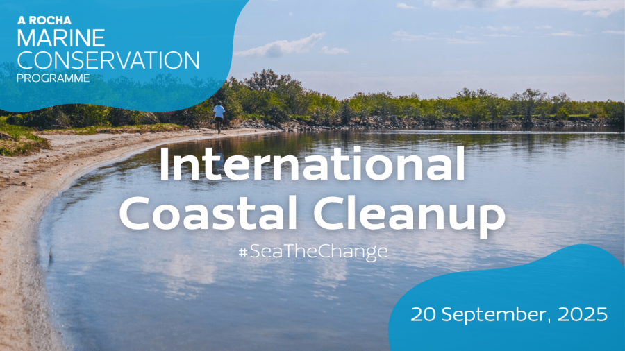 International Coastal Cleanup Day (Web Header)