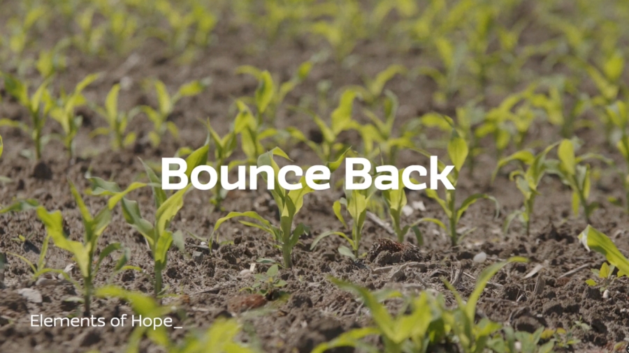 Bounce-Back