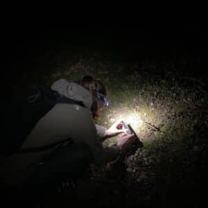A Rocha Switzerland: Salamandra atra (Gabriela Joray)