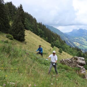 A Rocha Switzerland: PPS-Project (Gabriela Joray)
