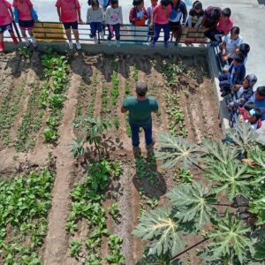 A Rocha Peru: Colegio Ciodad de Dios