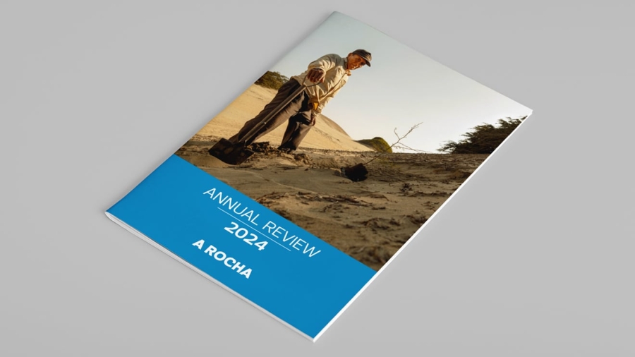 Annual-Review_mc