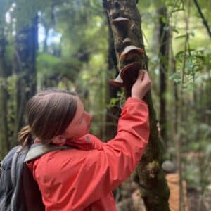 A Rocha Aotearoa NZ: 
Fungi observations (
Isabelle Lance)