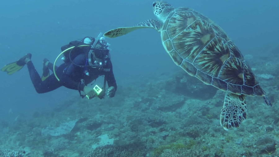 Marine-Opportunities