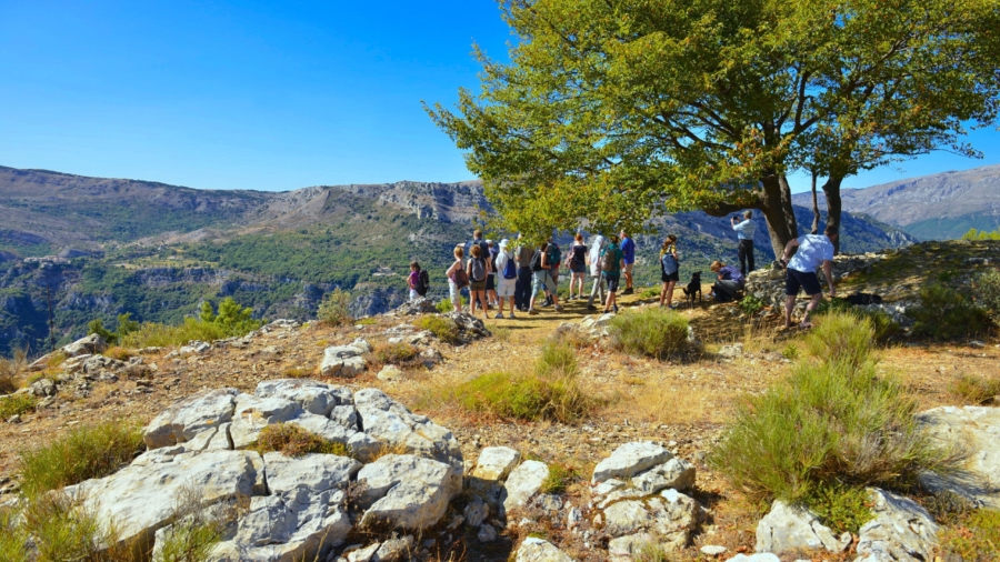 48379051052_6dc94f955c_o