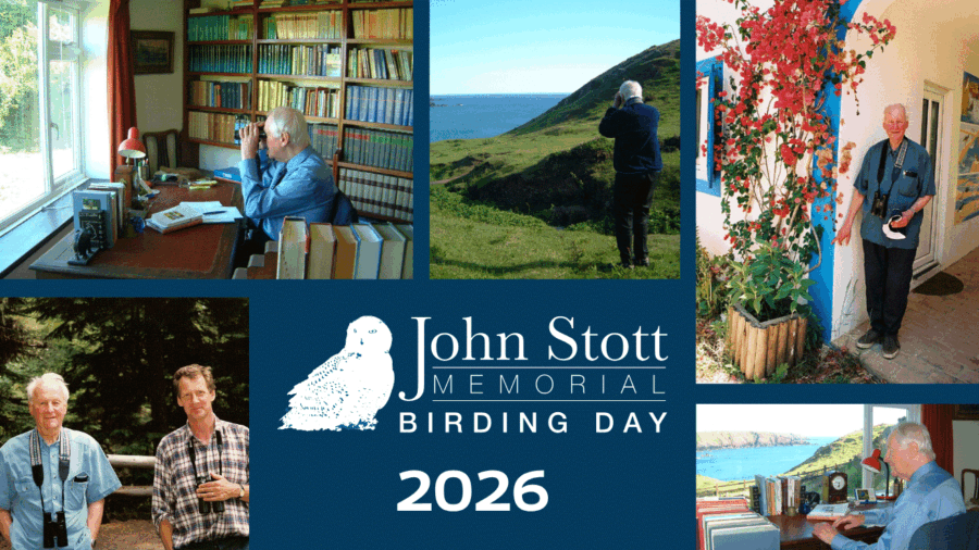 John-Stott_mc