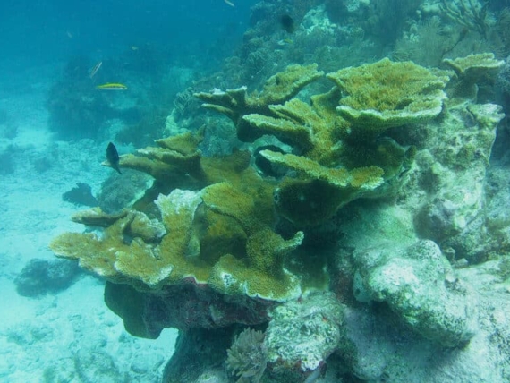 florida