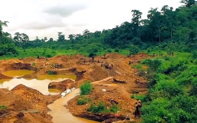 Atewa-AfricanForestsProgramme