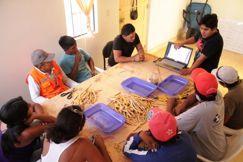 Project staff being trained by A Rocha Peru’s Talara Project Coordinator (A Rocha Peru)