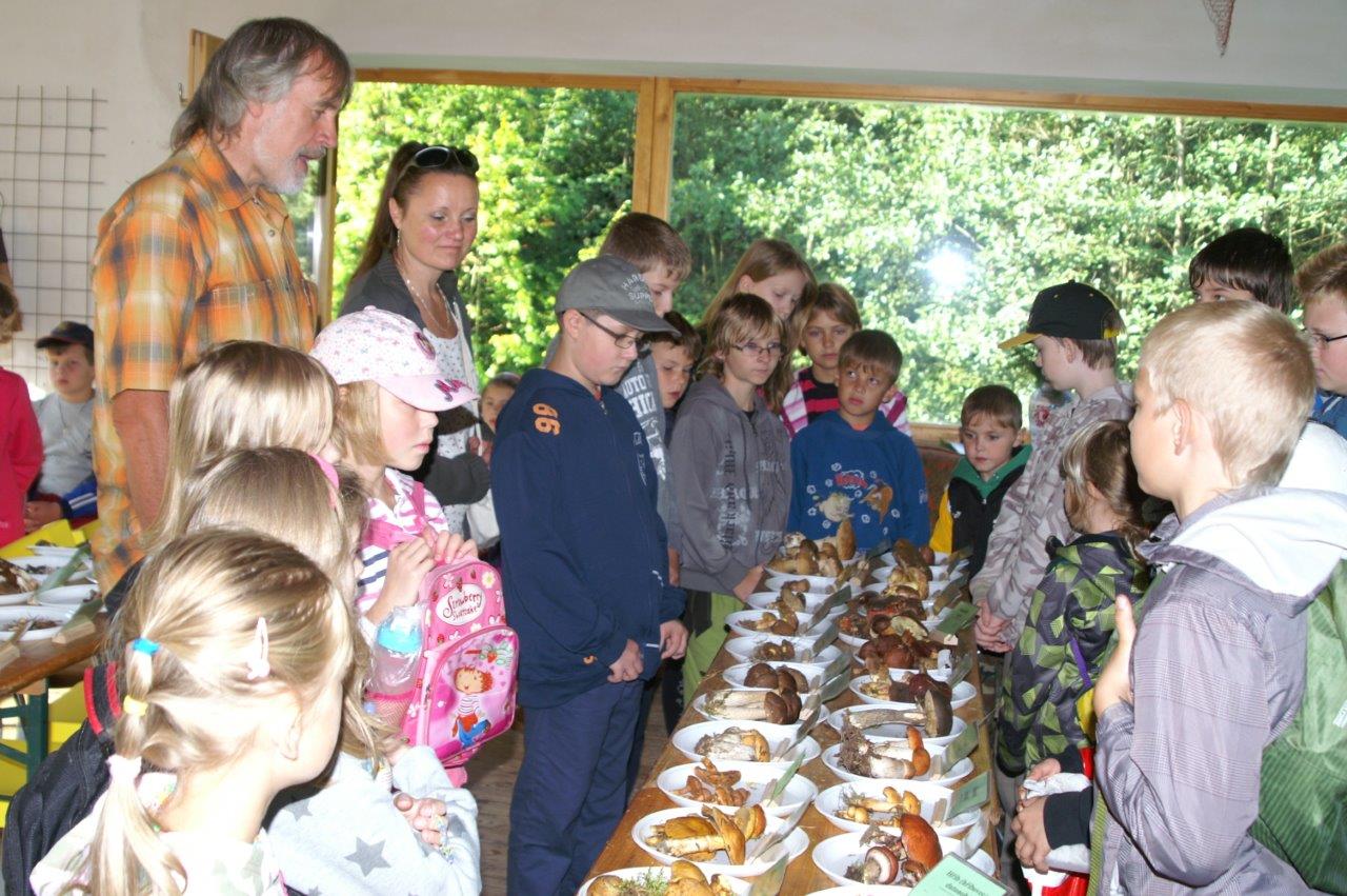 De jeunes gens enseignés sur l'importance d'une identification correcte au court d'une exposition sur les champignons organisée par A Rocha Tchéquie, Septembre 2014. (Pavel Svetlik)