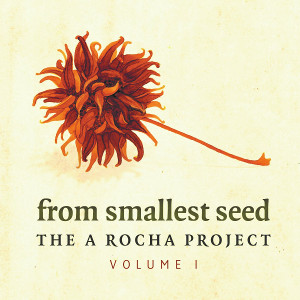 From smallest seed (featured image)