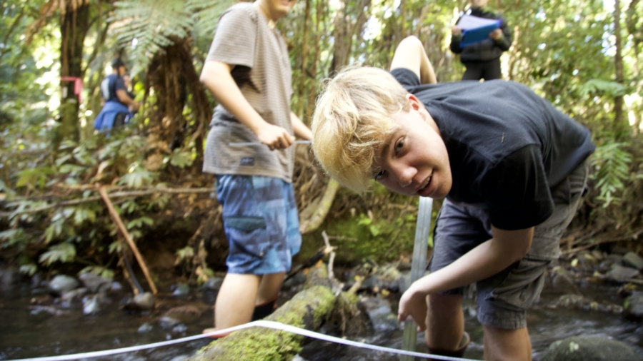 Manaaki-Ao-Stream-ecology