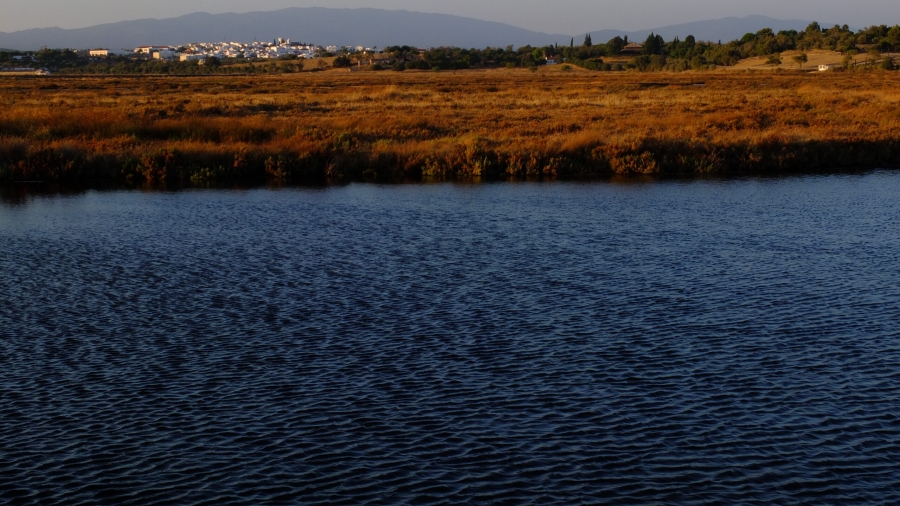 Alvor-Estuary-Mel-Ong