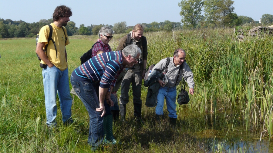 Czech-bird-monitoring