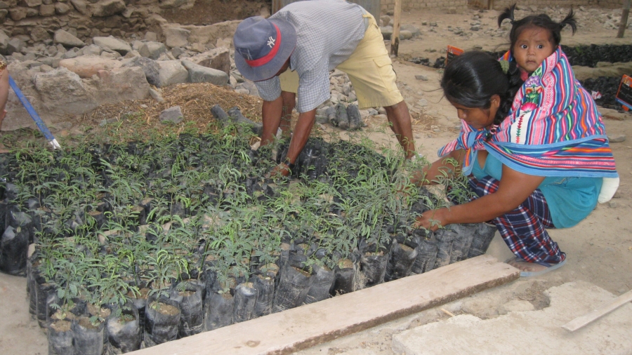 Peru