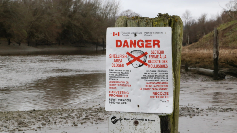 Christy-Juteau-Boundary-Bay-by-Tim-Hall093-scaled-1