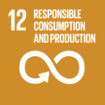 sdg-12-en