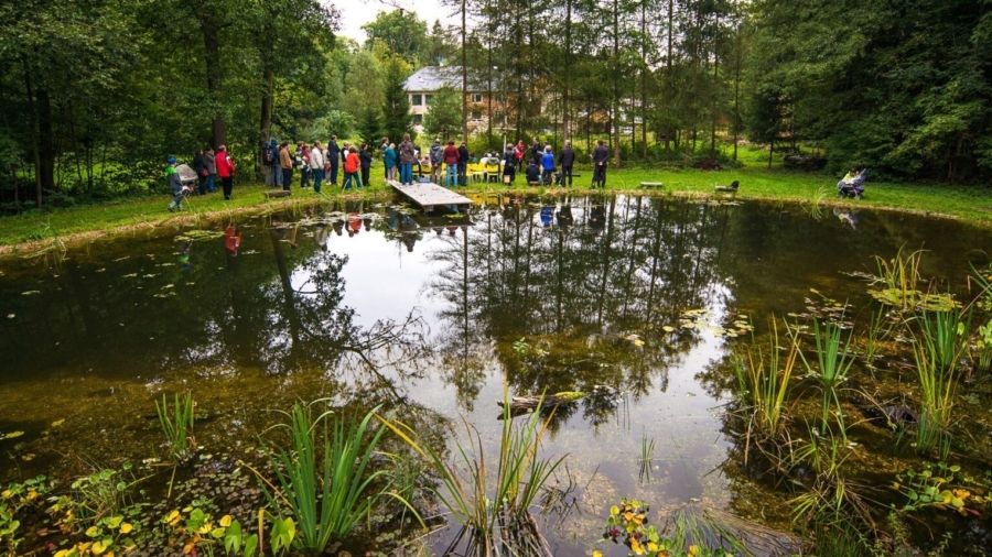 Kruparna-pond-Filip-Lastovic