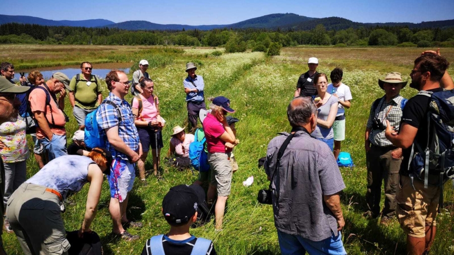 An outing from the Czech anniversary conference to Sumava national park