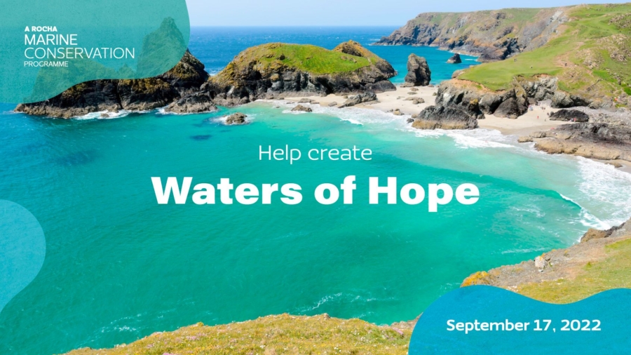International Coastal Cleanup Day banner