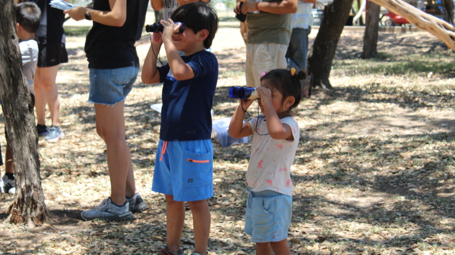 Picnic en el Arroyo