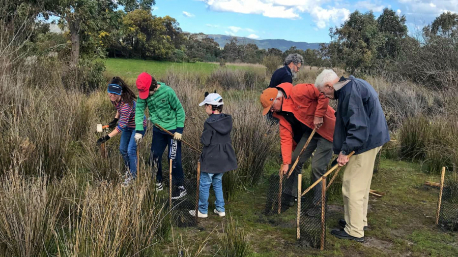 AR-Australia_planting-trees