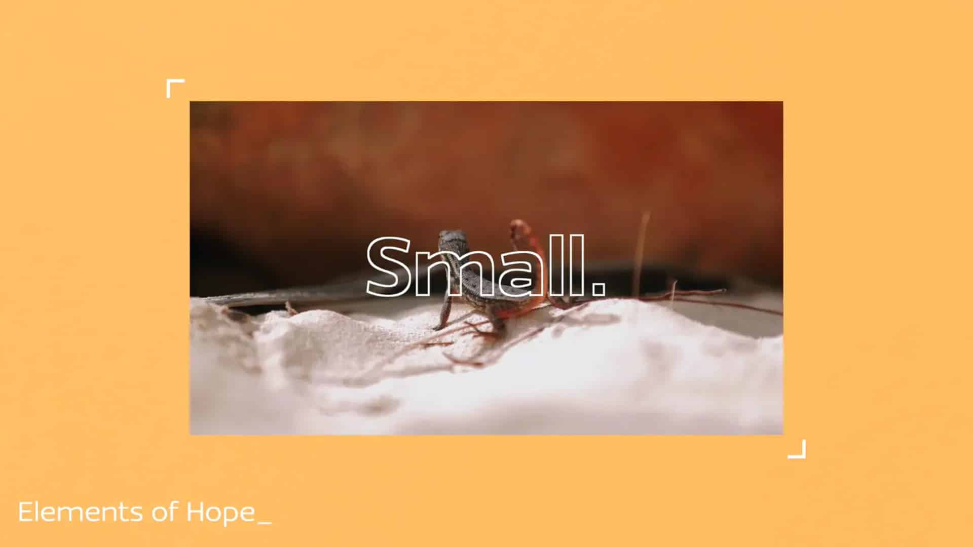 CLICK HERE TO VIEW VIDEO