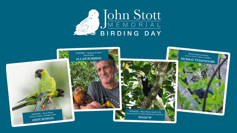 Top-story_John-Stott2