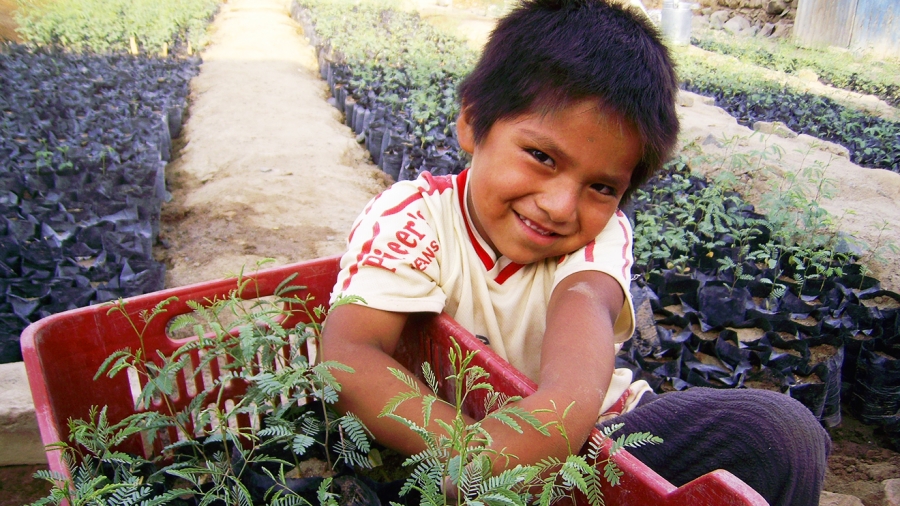 MC_Peru_child