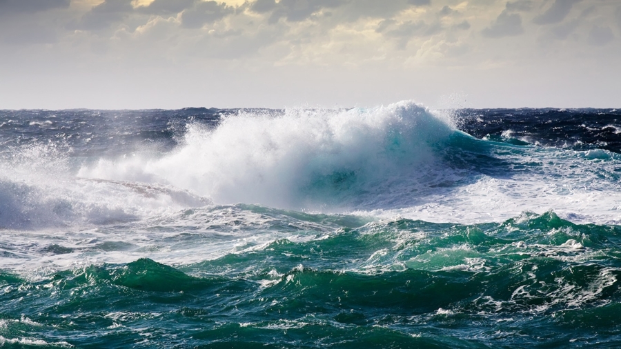 High-Seas_mc