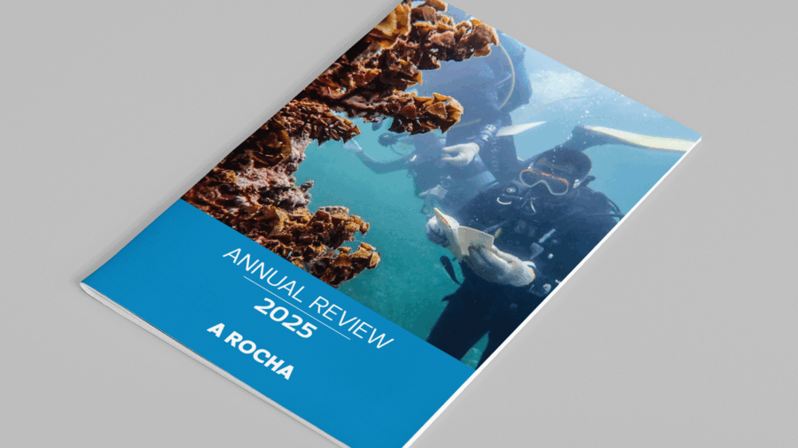 Annual-Review_mc