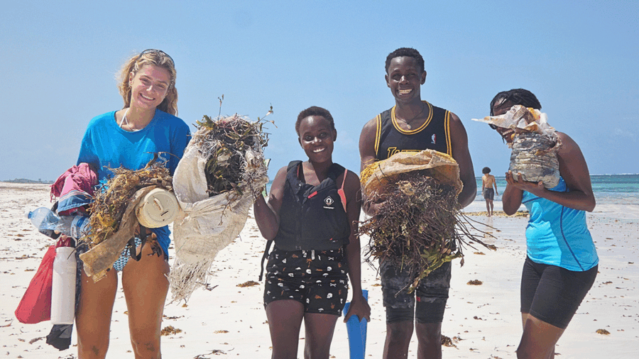 Beach-cleanup_mc