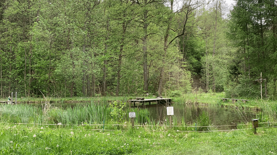 Kruparna_pond_mc