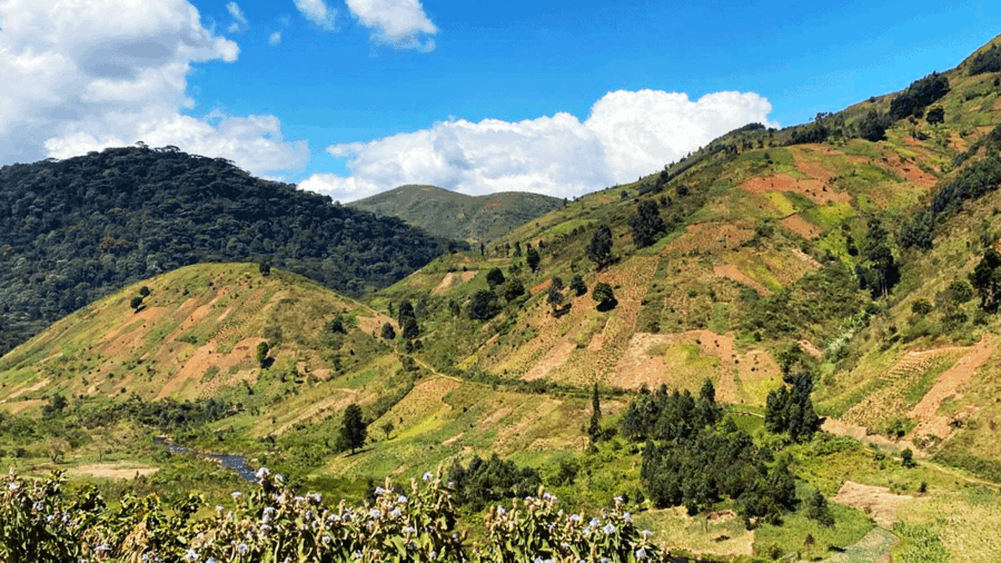 DR-Congo_MC